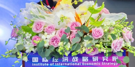 国际经济战略研究院在京成立